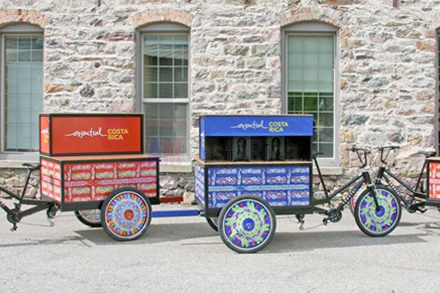 ICT Oxcarts